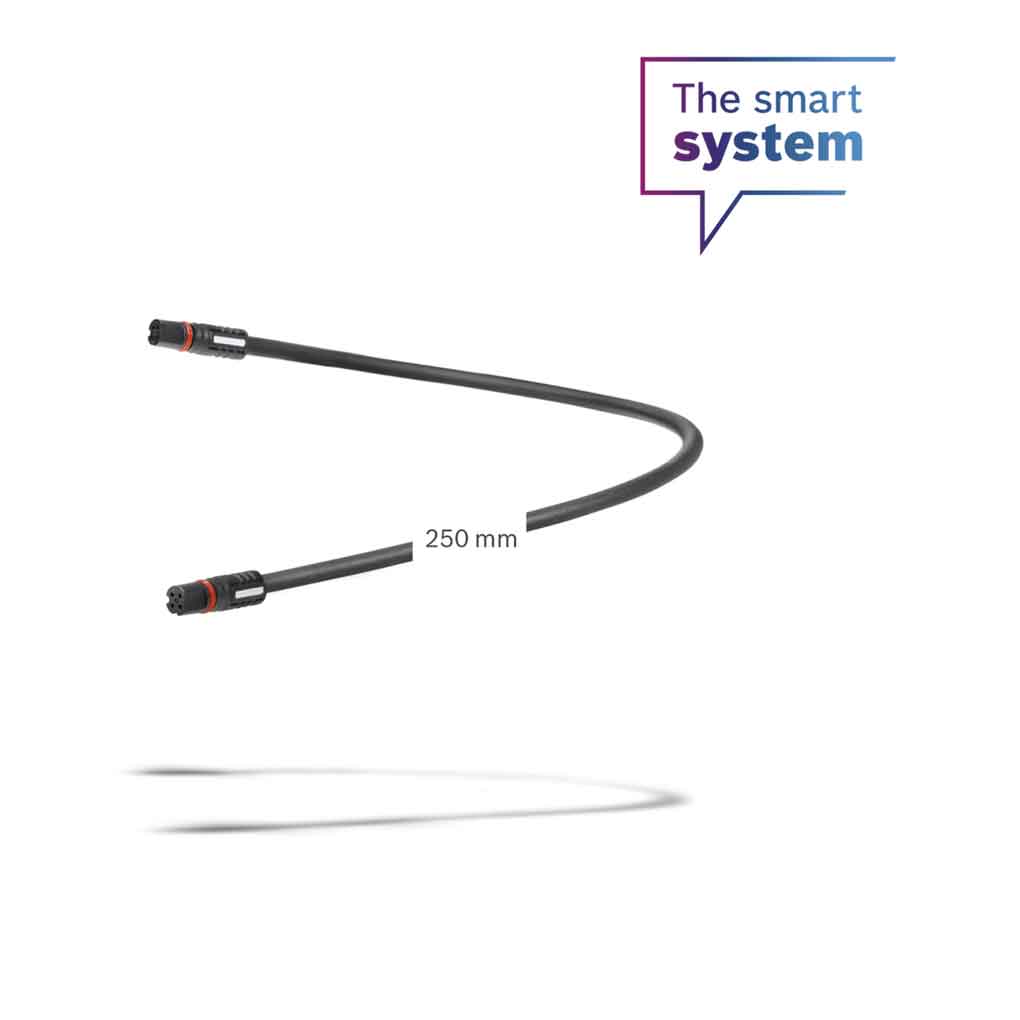 Cable-de-display-de-250-mm-_BCH3611_250.jpg